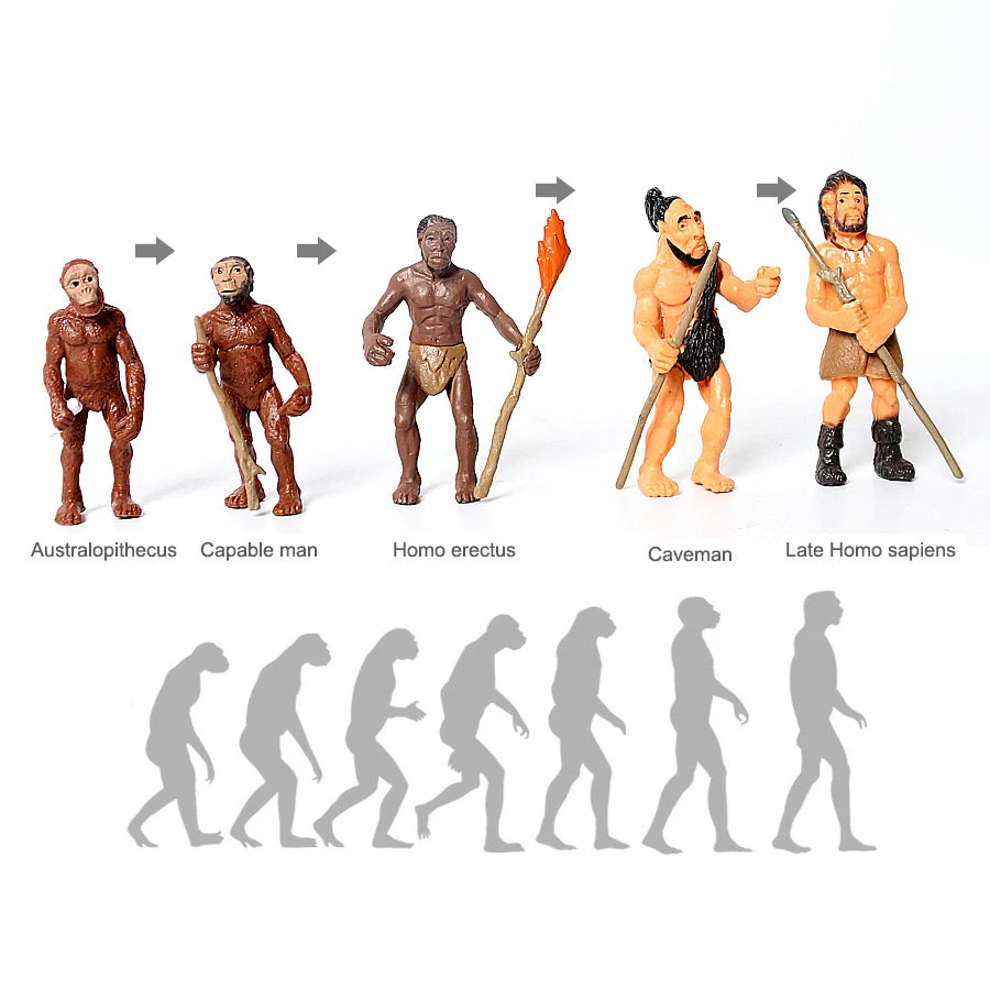 Simulation Human Evolution of Man,Primitive Human Prehistoric Life and Animal Models Historical Educational Figurine Toys